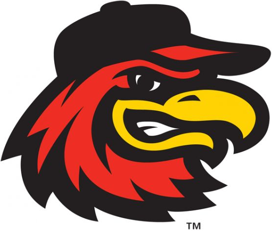 Rochester Red Wings 2014-Pres Alternate Logo 2 iron on paper